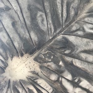 Lonneke de Kok | Werkproces Paraffine