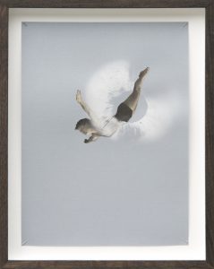 Jutterslabb - Duiker