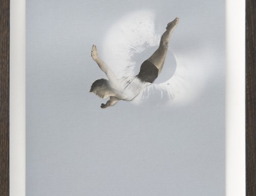 Duiker