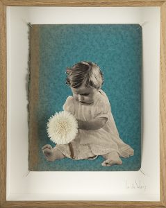 Lonneke de Kok - Galerie - Kaat