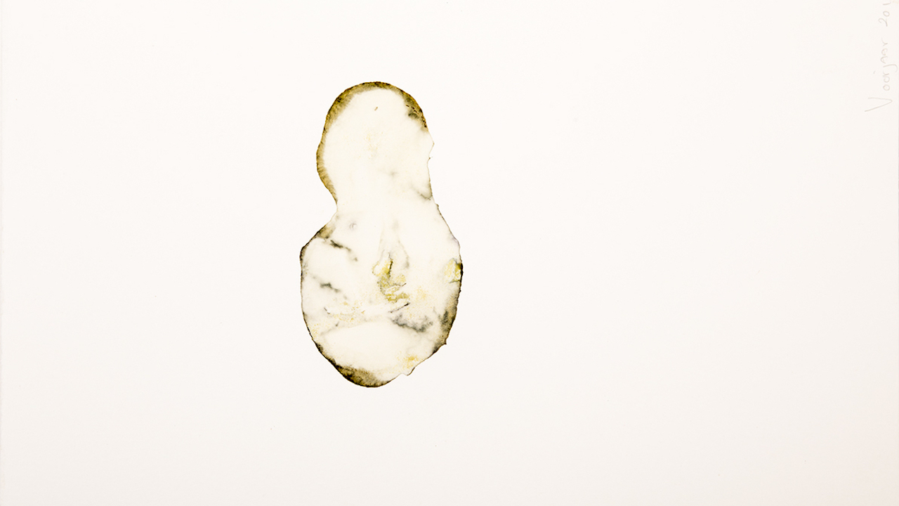 Lonneke de Kok - Galerie - Papaver